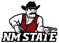 New Mexico Cowboys