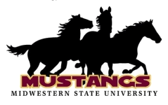 State Mustangs
