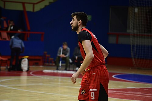 Haris Delalic
