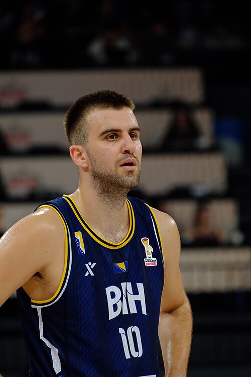Vojin Ilic